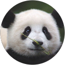 Barbara Hannon profile picture